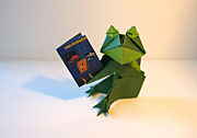 Grumpy frog (Лягушка). Автор Oriol Esteve