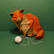 Рыжий кот. Автор Kyohei Katsuta